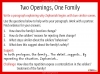 Refugee Boy - KS3 Unit of Work Teaching Resources (slide 8/199)